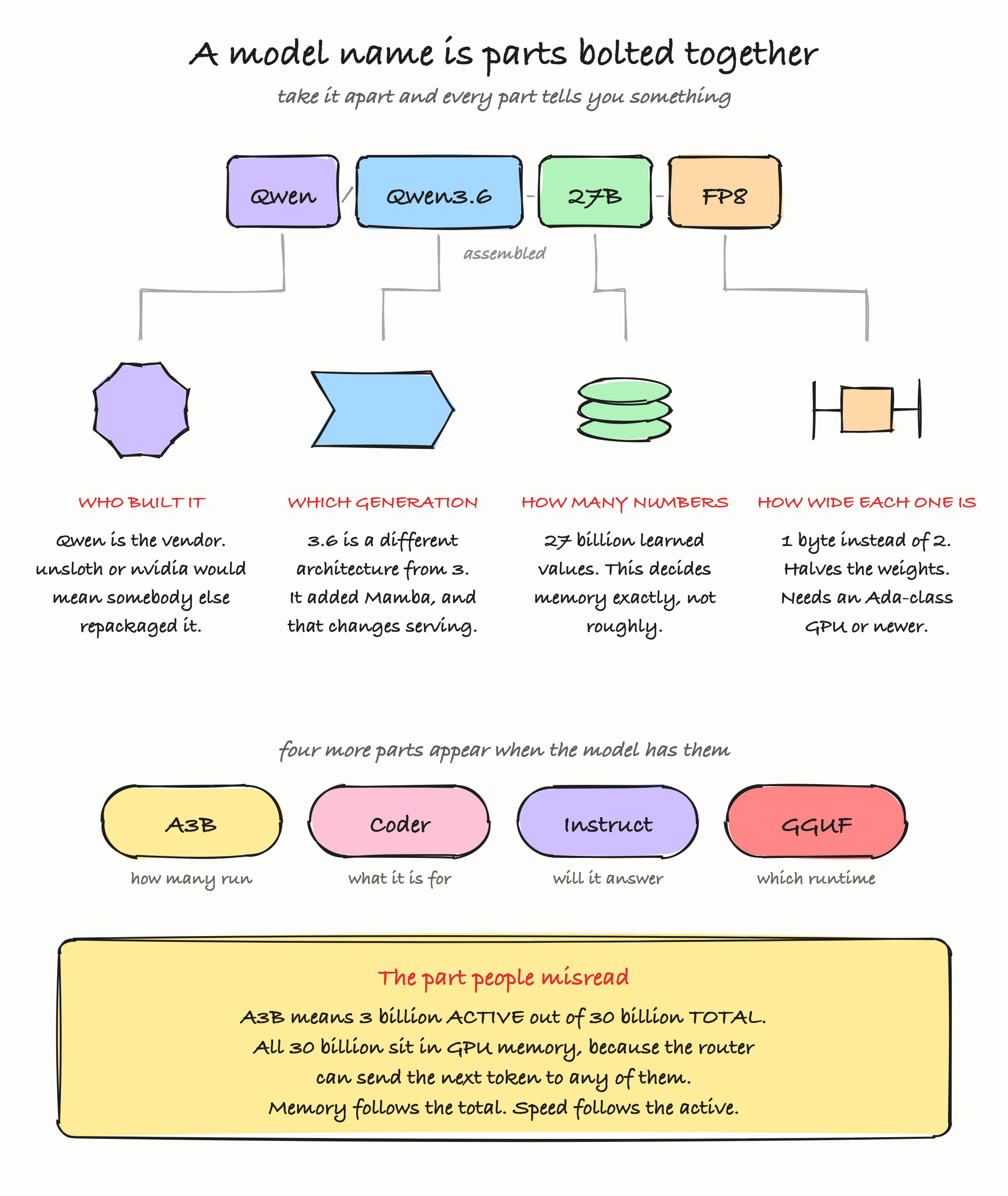 Exploded model name diagram: the string Qwen slash Qwen3.6-27B-FP8 drawn large across the top with each segment separated and connected by a leader line to an annotation card below, publisher explaining who built and who merely repackaged, family and version explaining the architecture generation, twenty-seven B explaining total learned parameters and its memory consequence, and FP8 explaining bytes per parameter, with a second row underneath showing the longer name unsloth slash Qwen3-Coder-30B-A3B-Instruct-GGUF exploded the same way to show the optional slots for active parameters, specialisation, post-training and serving format