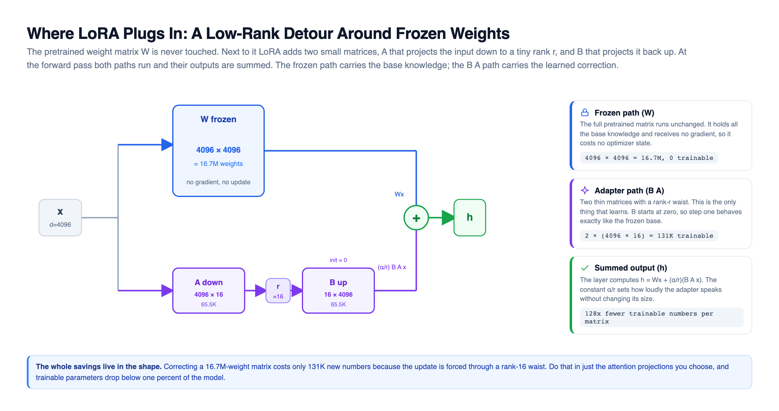 LoRA low-rank injection architecture: an input vector x of dimension 4096 splits into two paths, a frozen path through the pretrained matrix W of shape 4096 by 4096 which is 16.7 million weights that receive no gradient, and an adapter path through matrix A that projects 4096 down to a rank-16 waist then matrix B that projects 16 back up to 4096, with B initialized to zero, and both path outputs summed at a plus node to produce h, alongside chips explaining that the adapter is only 131 thousand trainable numbers versus 16.7 million in the frozen matrix