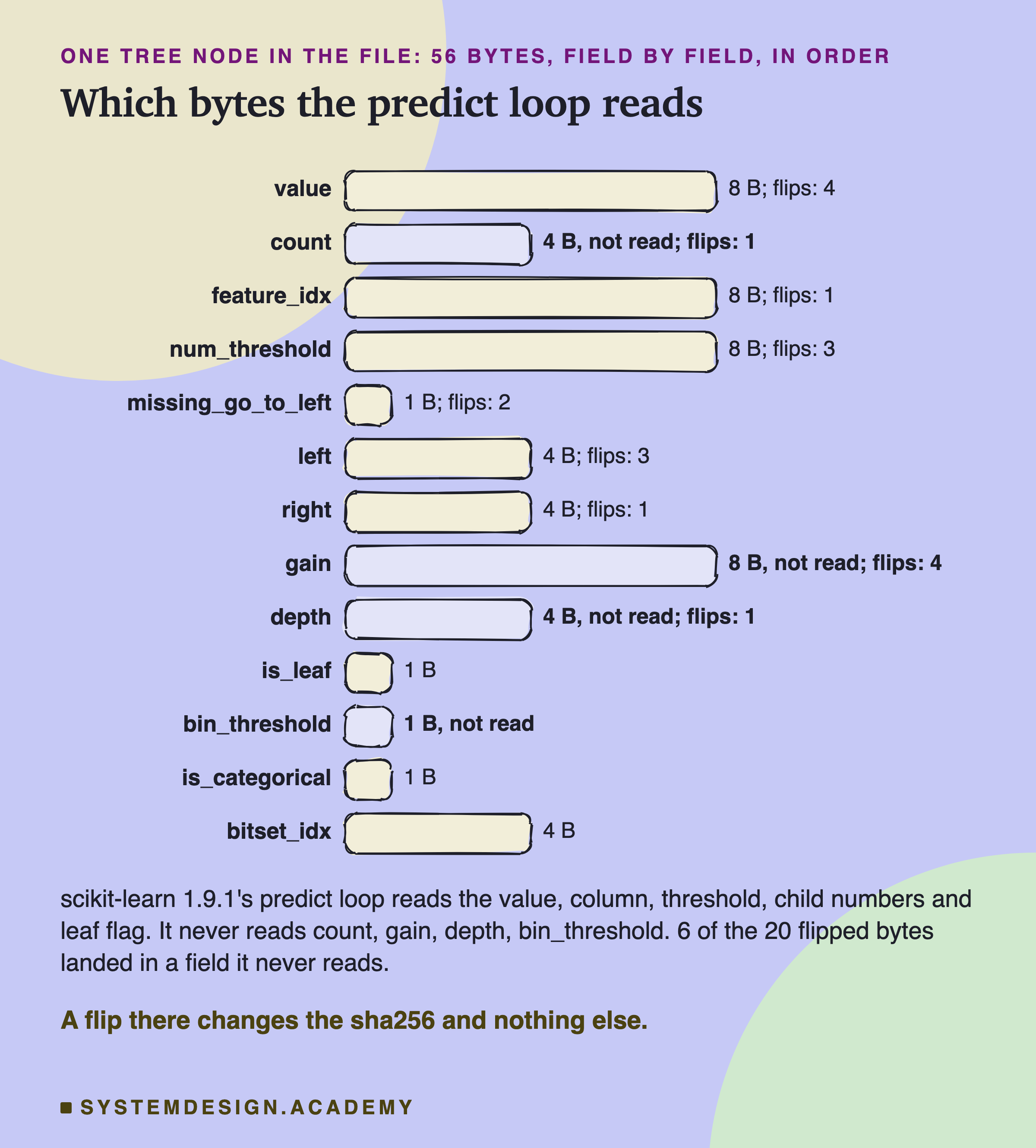 A hand-drawn bar for each of the thirteen fields of one tree node, in order, as long as the field's bytes, with a note of the flips that hit it. Value, 8 bytes, flips 4. Count, 4 bytes, not read, flips 1. Feature_idx, 8 bytes, flips 1. Num_threshold, 8 bytes, flips 3. Missing_go_to_left, 1 byte, flips 2. Left, 4 bytes, flips 3. Right, 4 bytes, flips 1. Gain, 8 bytes, not read, flips 4. Depth, 4 bytes, not read, flips 1. Is_leaf, 1 byte. Bin_threshold, 1 byte, not read. Is_categorical, 1 byte. Bitset_idx, 4 bytes. Below: scikit-learn 1.9.1's predict loop reads the value, column, threshold, child numbers and leaf flag; it never reads count, gain, depth, bin_threshold; 6 of the 20 flipped bytes landed in a field it never reads. Caption: a flip there changes the sha256 and nothing else.