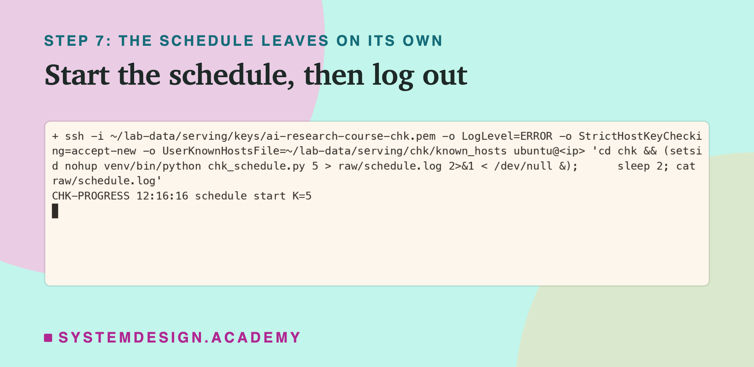 A real terminal recording of step 7, with the address replaced by a placeholder: over ssh, cd chk, then setsid nohup venv/bin/python chk_schedule.py 5 with its output sent to raw/schedule.log, in the background; two seconds later the log shows CHK-PROGRESS 12:16:16 schedule start K=5.