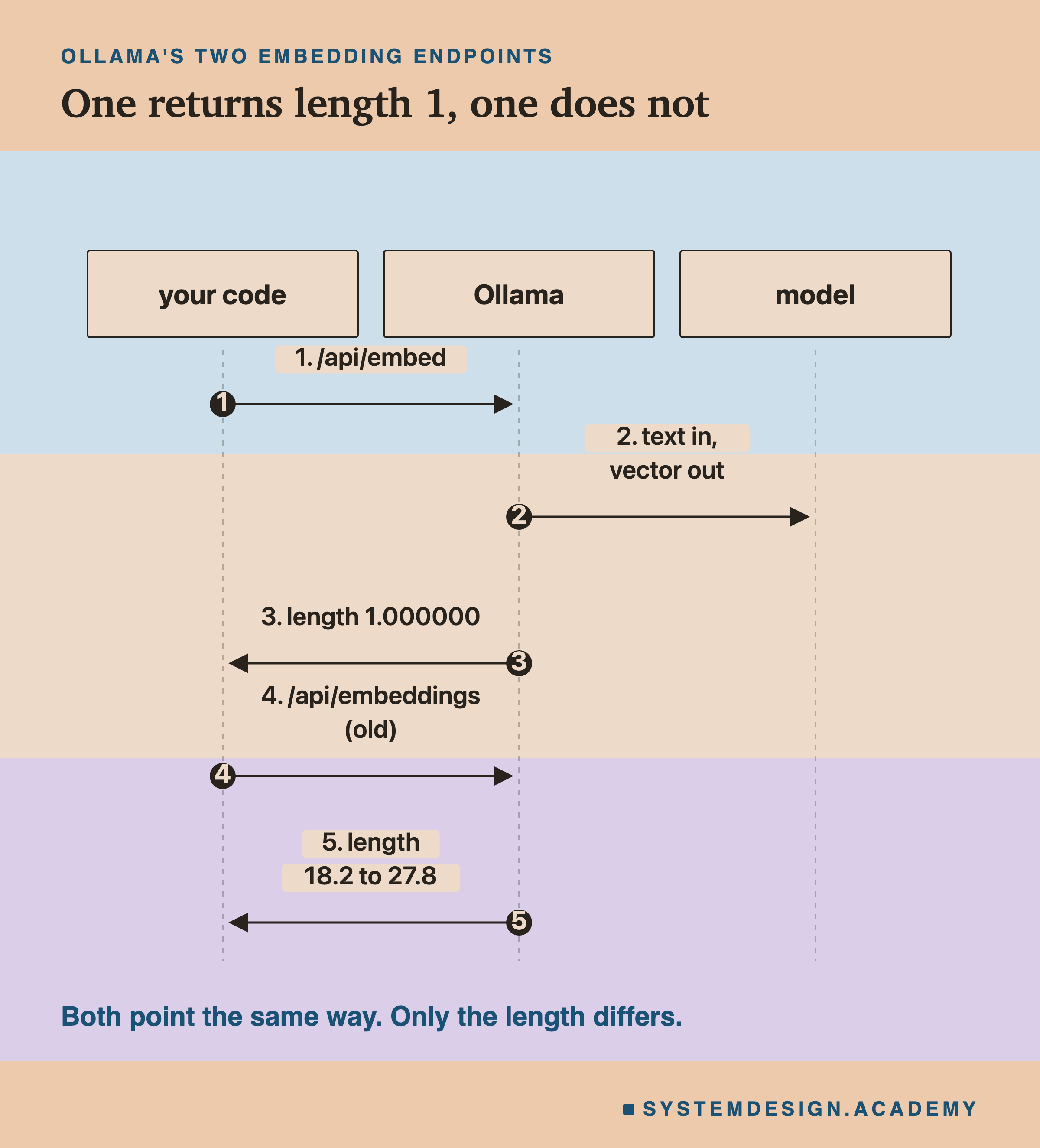 A sequence diagram with three columns: your code, Ollama and the model. Your code calls /api/embed, the text goes to the model and a vector comes out, and your code gets back a vector of length 1.000000. Your code calls /api/embeddings, the old one, and gets back a vector of length 18.2 to 27.8. A note says both point the same way; only the length differs.