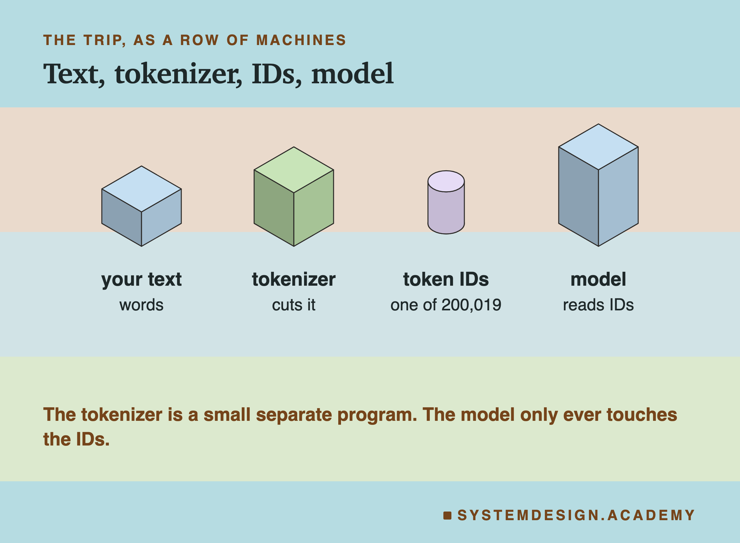 An isometric row of four blocks: your text, the tokenizer that cuts it, the token IDs, each one of 200,019, and the model that reads only IDs. A note says the tokenizer is a small separate program.